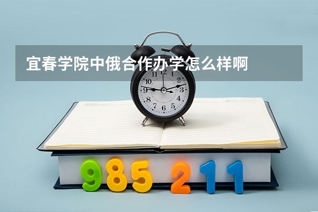 宜春学院中俄合作办学怎么样啊