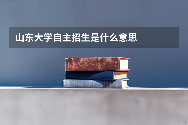 山东大学自主招生是什么意思