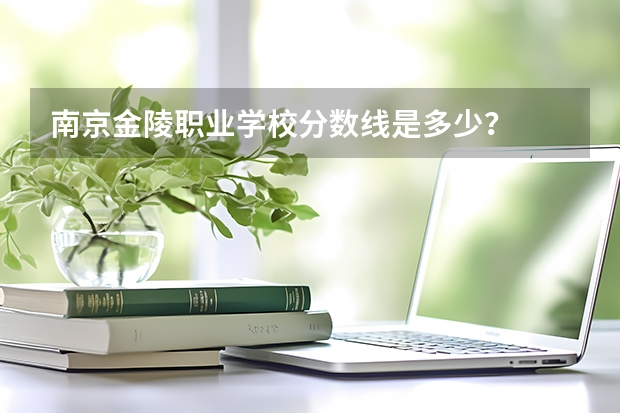 南京金陵职业学校分数线是多少？