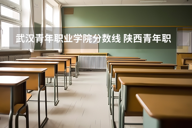 武汉青年职业学院分数线 陕西青年职业学院分数线