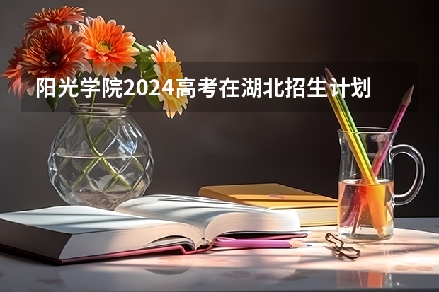 阳光学院2024高考在湖北招生计划介绍