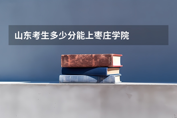 山东考生多少分能上枣庄学院