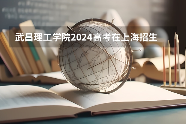 武昌理工学院2024高考在上海招生计划介绍