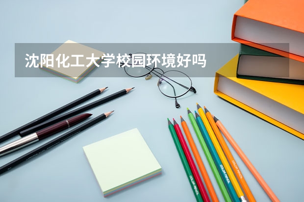 沈阳化工大学校园环境好吗