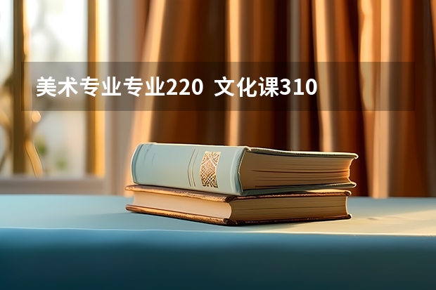 美术专业专业220  文化课310 能上 什么大学