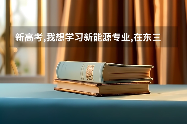 新高考,我想学习新能源专业,在东三省怎么样选大学