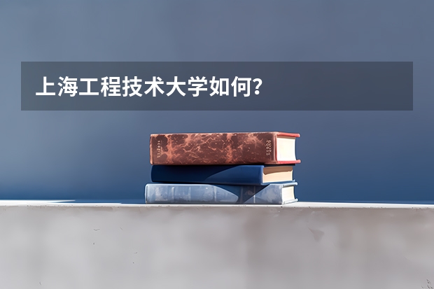 上海工程技术大学如何？