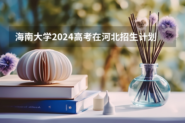 海南大学2024高考在河北招生计划介绍