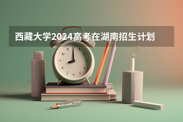 西藏大学2024高考在湖南招生计划介绍