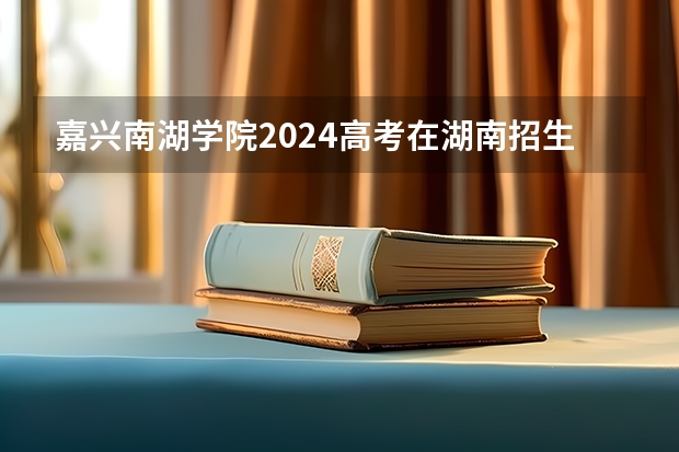 嘉兴南湖学院2024高考在湖南招生计划介绍