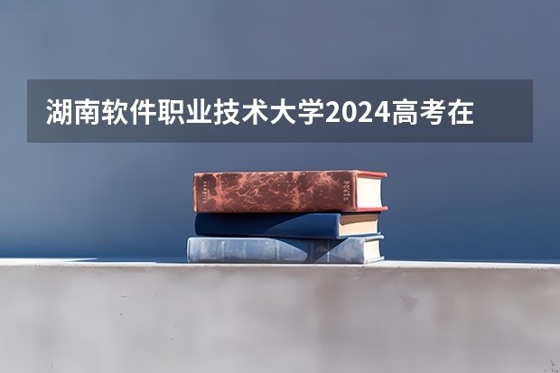 湖南软件职业技术大学2024高考在湖南招生计划介绍