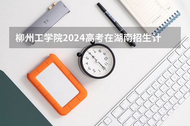 柳州工学院2024高考在湖南招生计划介绍