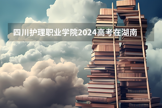 四川护理职业学院2024高考在湖南招生计划介绍