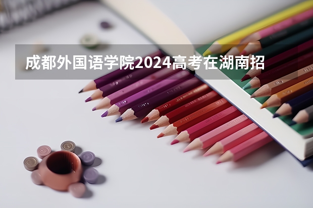 成都外国语学院2024高考在湖南招生计划介绍