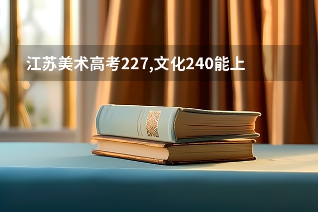 江苏美术高考227,文化240能上什么大学