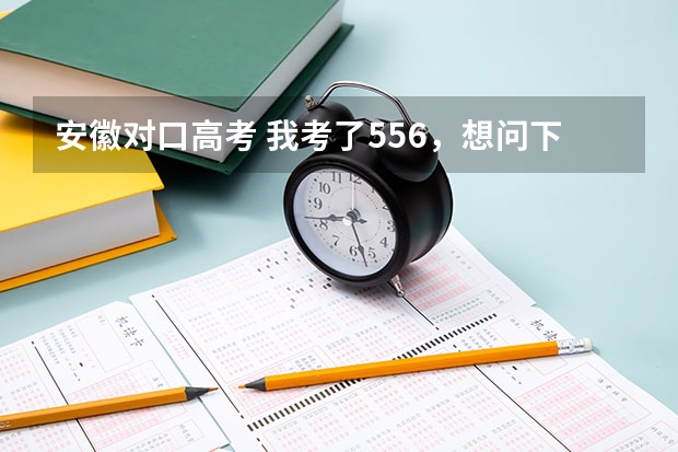 安徽对口高考 我考了556，想问下、能上什么公办的学校，最好是在合肥的