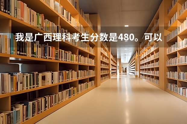 我是广西理科考生分数是480。可以上鲁东大学吗？