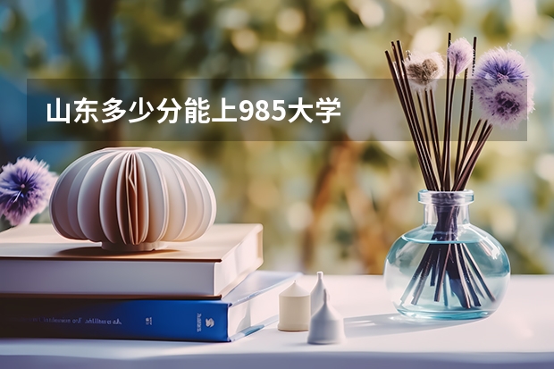 山东多少分能上985大学