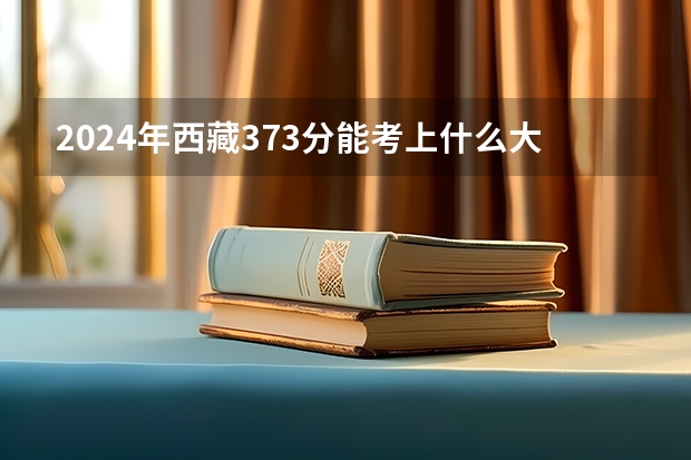 2024年西藏373分能考上什么大学？